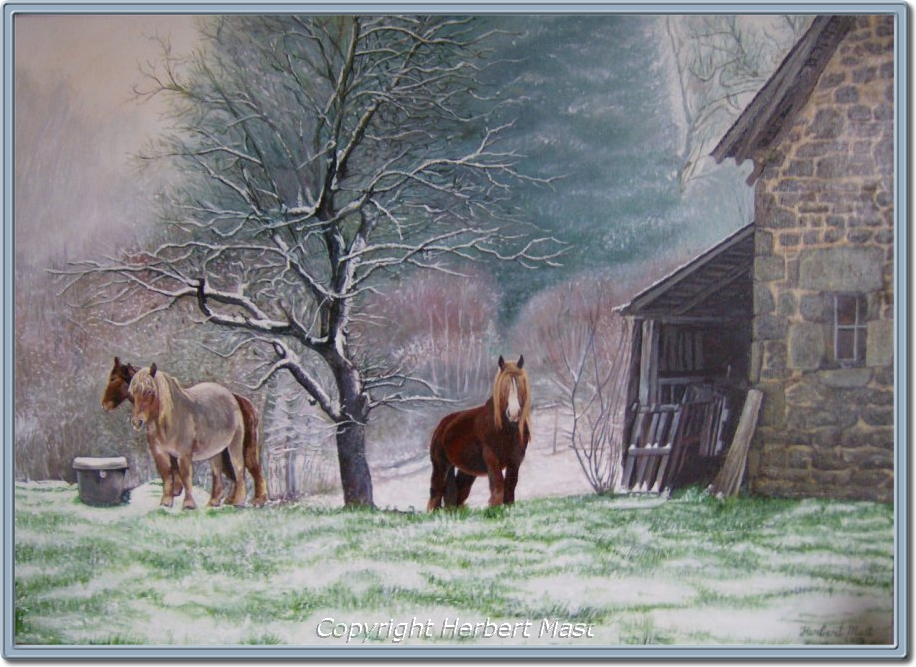 Ponies in sneeuw